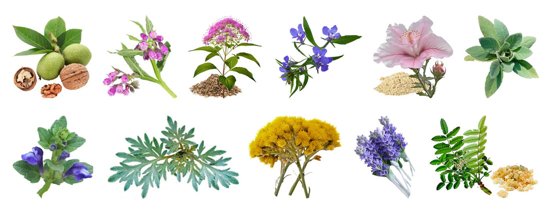 Why Our Total Tissue Healing Salve™ Works - Be A Courageous Family