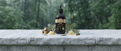 Adrenal Support™, a superfood for the endocrine system