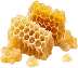 Raw honeycomb pieces and honey on a clear background.