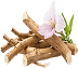 A bundle of marshmallow roots with some leaves and a marshmallow flower isolated on a transparent background.