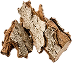A close-up of a textured, organic white oak bark on a transparent background