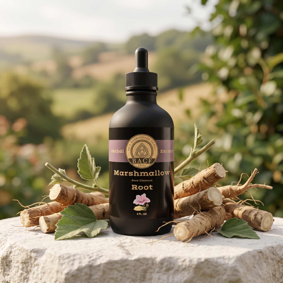 A black 4 ounce dropper bottle of Marshmallow Root Tincture, styled on a white stone surface surrounded with fresh marshmallow roots and green leaves against a blurred outdoor landscape background.